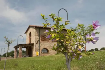 Image de Nice cottage, private terrace with pool view, quiet location, shared heated pool