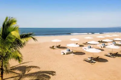 Image de Its Summertime Get Your Reservation Now Any Size Any Location! Inquire Now
