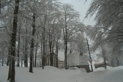 Image de Remarkable 3-Bed House in Zabljak