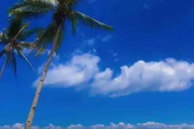 Beachfront and a stunning view of an island