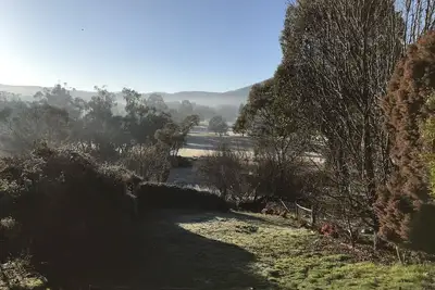 Image de Blue Cockatoo - Humble Home Peaceful View