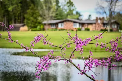 Image de We are a quiet ranch home that sits on 8 acres with firepit, pond and bar.