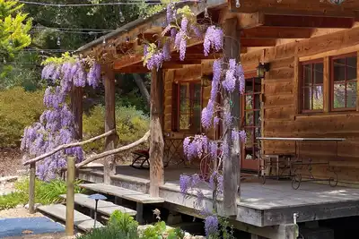 Image de Lux Cabin Retreat in Nature - Close to Avila Beach