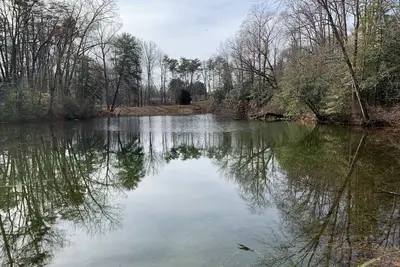 Image de View Peaceful Pond while lounging in this open studio apartment!