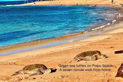 Image de Regency Villa 212 - 2 Bed suite w\/ Ac in sunny Poipu!