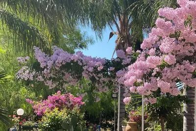 Image de Naturalistic area, near the beach and in the Taormina interland