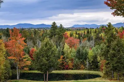Image de 10 Bedroom Lodge Retreat on Deer Farm