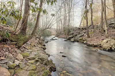 Image de Enjoy! ! ! Compass Cottage 1 on Fodder Creek near Brasstown Bald Hiawassee, Ga