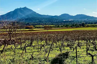Historic finca in the vineyard near Felanitx 8-10 pers. Pool sauna heating