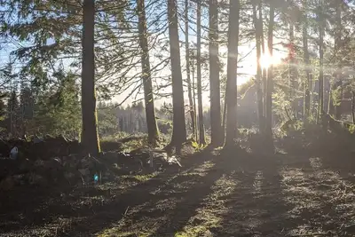 Image de Cozy & Secluded Getaway - Newly Remodeled - Perfect Location! !