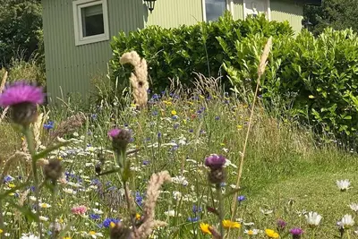 Image de Romantic Shepherd hut with private hot tub over looking breathtaking views