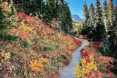 Image de Glacier Park Condo
