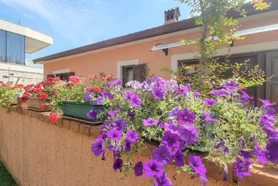 Image de Appartement de vacances Novigrad pour 1 - 2 personnes - Appartement de vacances