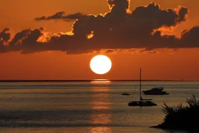 Image de Noko Life on Shore T