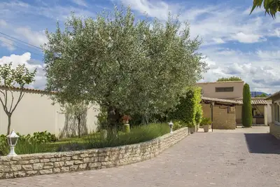 Image de Gîte les Oliviers