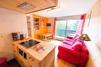 Image de 230m du centre station, 2ème étage, vue pistes de ski, balcon, télévision, casier à ski, 27m²