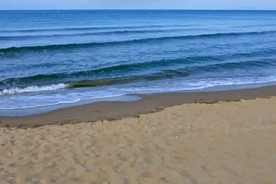 Image de A few steps from the sea