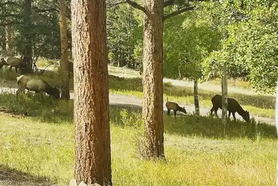 Image de Perfect Cabin - 3 mi to Dt Estes Park, 3 mi to Rmnp