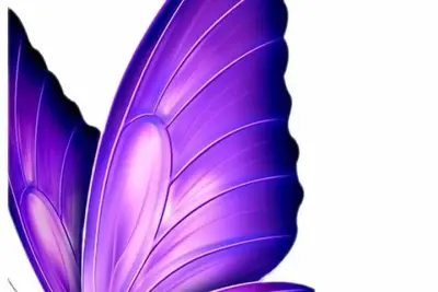 Image de Apartment unavailable. Delete Advertisement