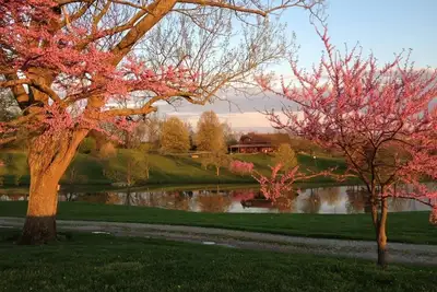Image de Classic Kentucky Farm: Bluegrass - Bourbon - Pga -Firepit-Horse Country-WiFi