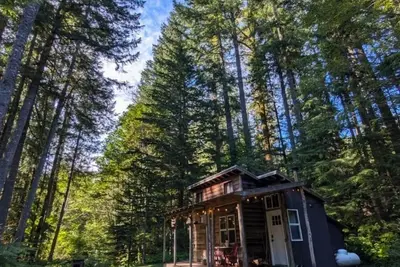 Image de Whimsical & Cozy Cabin Near Mt. Rainier – A Nostalgic Forest Getaway✨