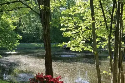Image de Lakeview - Tranquille and private suite Located 20 minutes from D. C