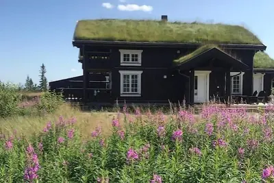 Image de Superbe maison de 4 chambres à Eggedal