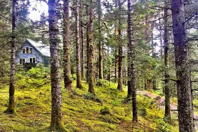 Image de New Private wooded hideaway w\/ spacious deck & hot tub, steps to beach & fishing