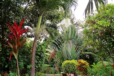 Image de Le jardin de la roseraie