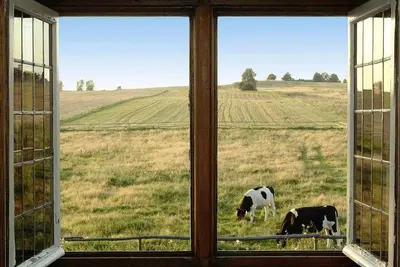 Image de Maison en brique avec jardin et aire de jeux