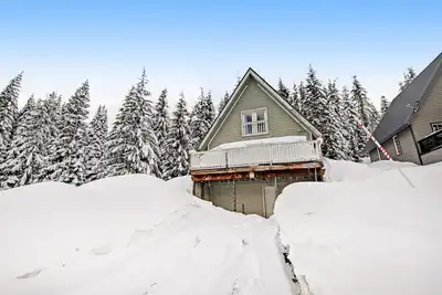 Image de Charming, walk-to-lifts cabin with mountain views, kayaks & arcade game