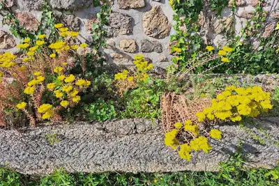 Image de Maisonnette à la campagne