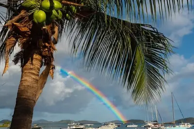 Image de The Palms Iii, 3 Bedroom, 2 Bath condo at Grande Bay Resort