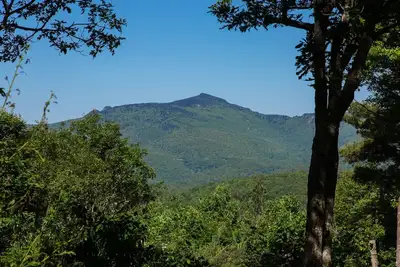 Image de Grandfather Knows 4br, sleeps 10, 3. 5 Ba, 3 King Br`s plus bunk room sleeps 4