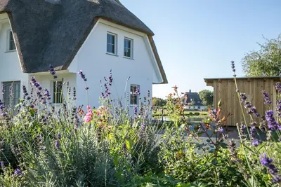 Image de Vacation home Seeschwalbe 60 - Holiday home Seeschwalbe 60 - Close to nature