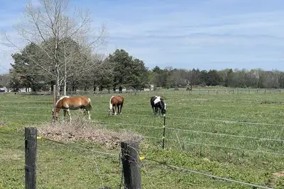 Image de New family & pet friendly Farmhouse*Equine retreat*Allen House centrally located