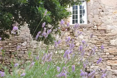 Image de Château du Xi ième siècle