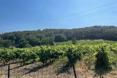 Image de Property in the heart of the Lorgues vineyards