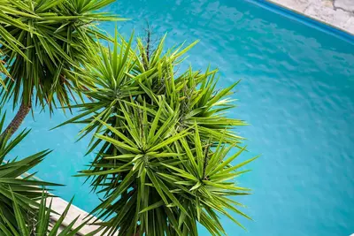 Image de Seaview Apartment with Shared Pool