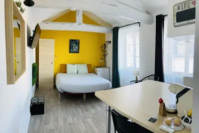 Image de Superbe studio jungle centre-ville de Gannat.