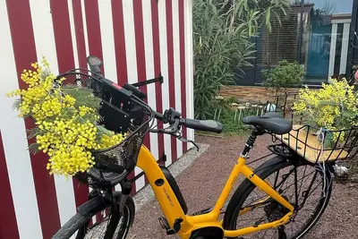 Image de Les Mimosas