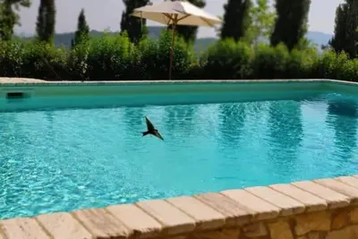 Image de Farmhouse Il Borgo del Lupo Apartment Wolf Ezekiel