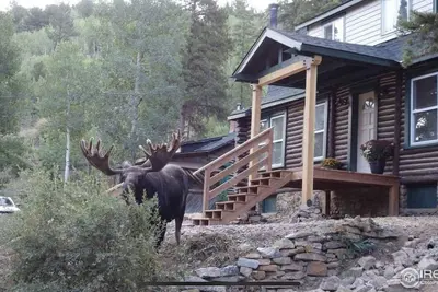 Image de Honey Bear Creek Artists Mountain Retreat