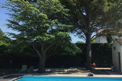 Image de Apartment
