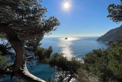 Image de Domaine Pleine mer, maison les pieds dans l eau!