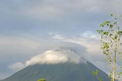 Image de Natural Medicina Garden 5 mins from La Fortuna