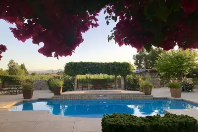 Large poolside King suite with private entrance