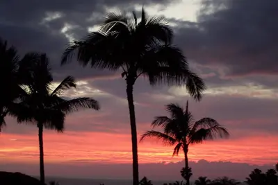 Image de Unobstructed Ocean View - Lovely 1/1