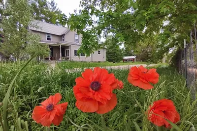 Image de Farm to Folklore - Fairytale Farmhouse