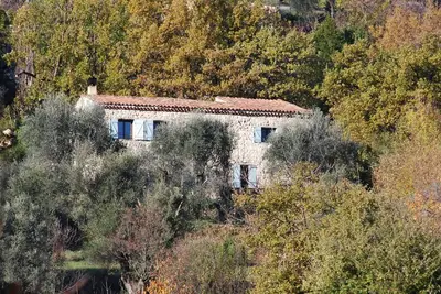 Image de Un mas & sa piscine, entouré d'oliviers centenaires.